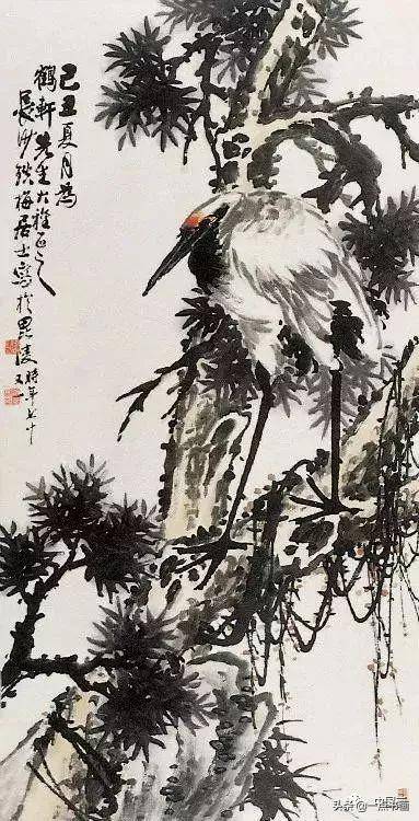 晚清海派花鸟画19家代表作品欣赏,个个名不虚传_张熊