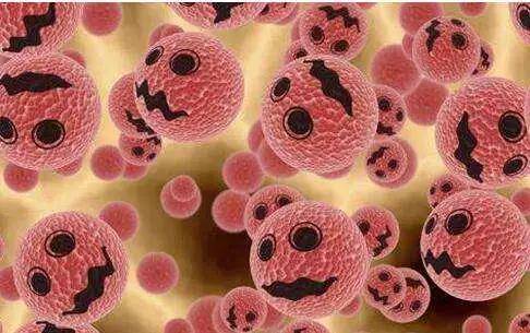 孩子|孩子太干净更容易得白血病？怪不得德国娃都泥里打滚