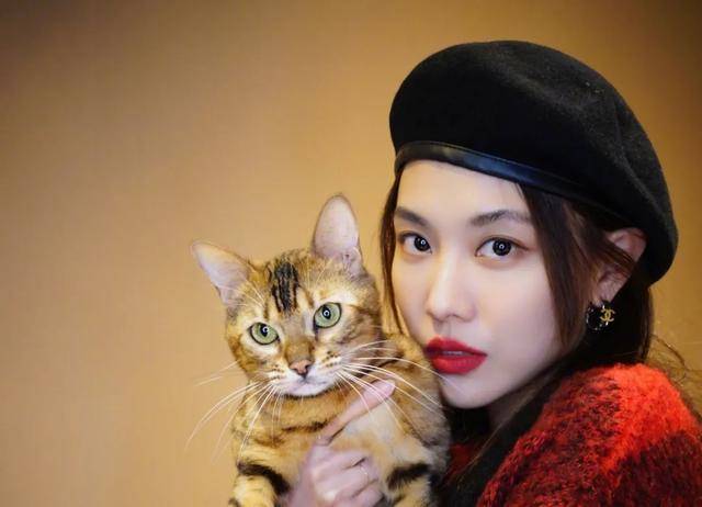 女明星|女明星“眼下增肥”是什么操作？