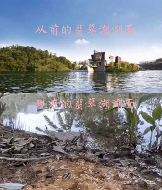 重庆翡翠湖惨遭污染,真凶浮出水面