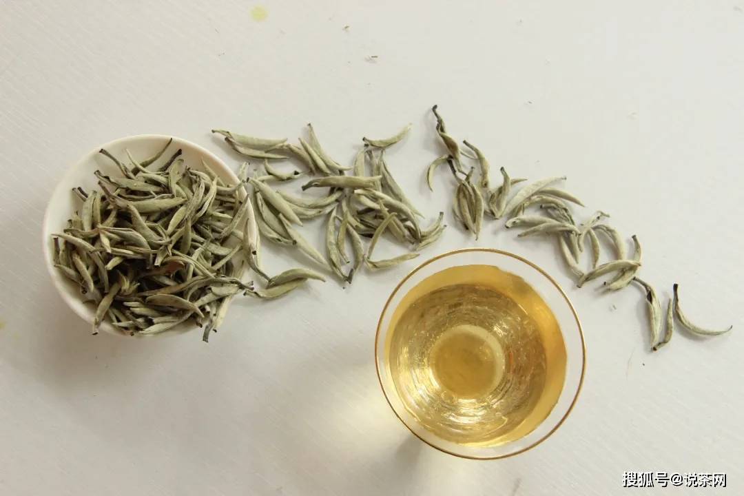 什么|茶友们都在喝什么茶？从小白到资深