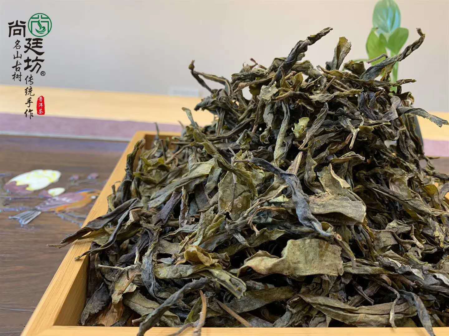 想买好喝不贵的普洱茶？老茶客的首选口粮茶了解一下_搜狐网