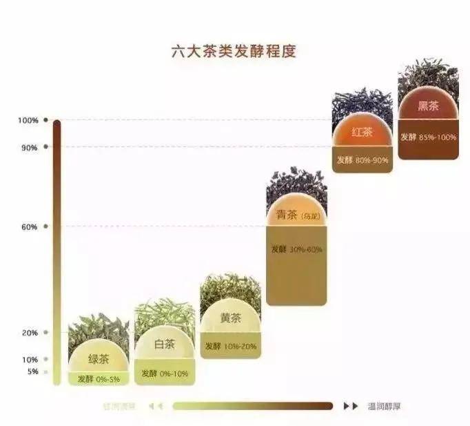 建议|一次性把中国茶讲清楚(建议收藏)