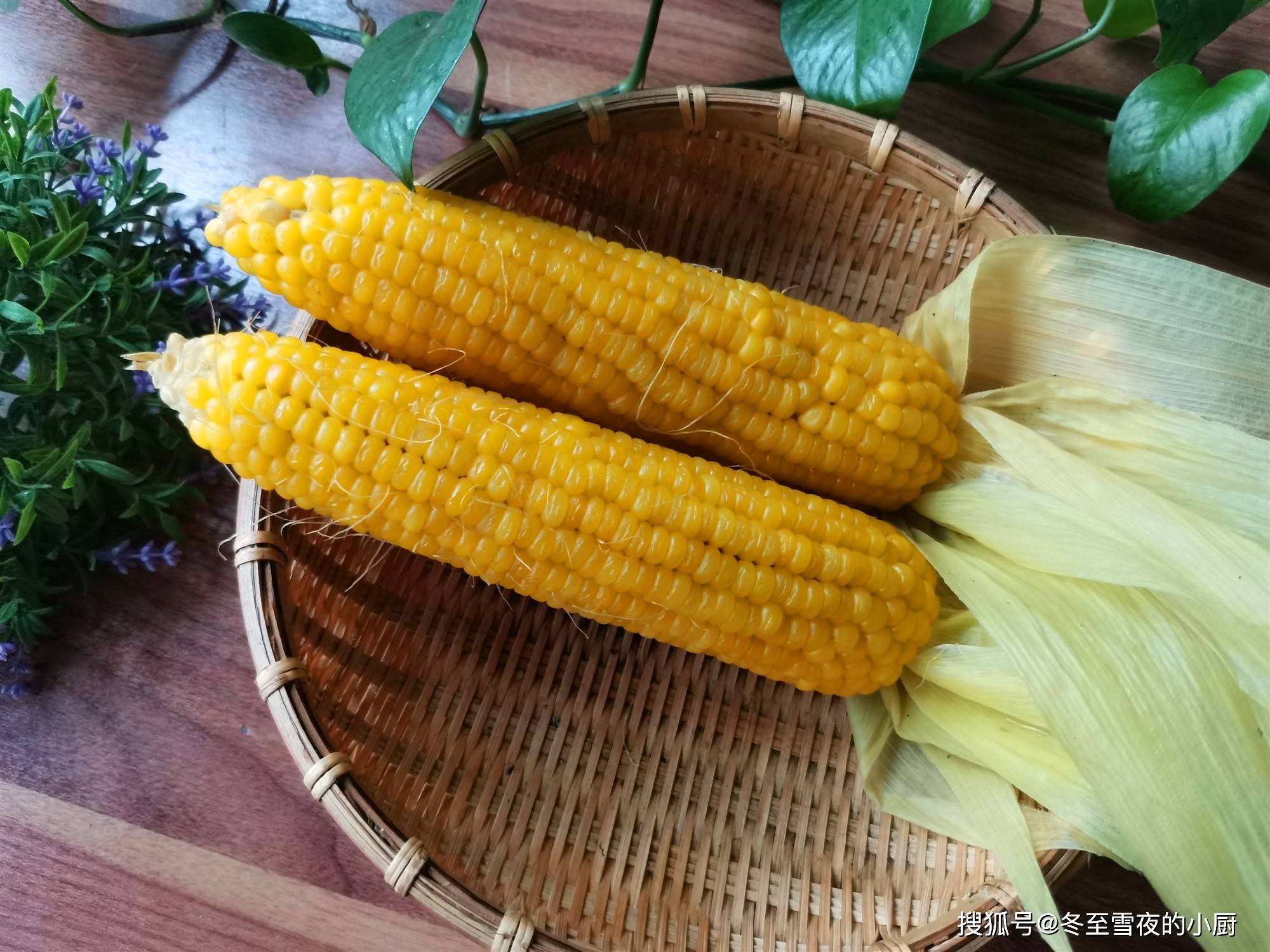 技巧|煮时加入1勺它，玉米熟得快、营养吸收好煮苞米的实用小技巧