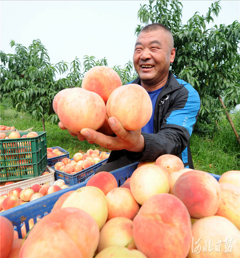 河北孟2020gdp_2020姓氏微信头像孟(2)