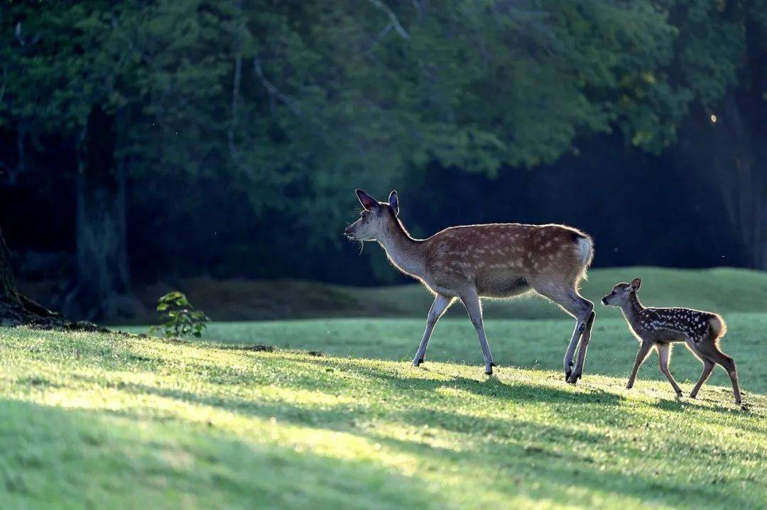 前景|【国际升学】耕耘必有收获，在韩毕业后的就业前景怎样？请查阅！