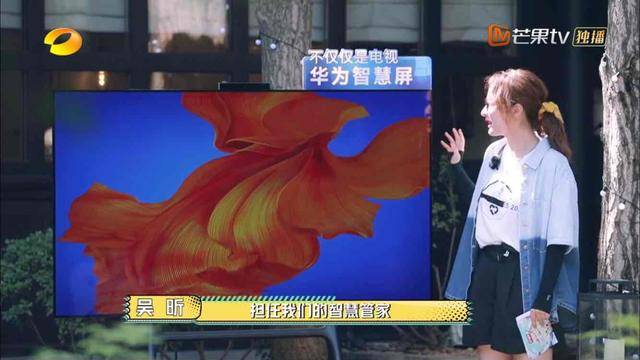 功能|神秘大咖来袭？华为智慧屏“智慧管家”和《元气哥哥》陪你一起元气满满！