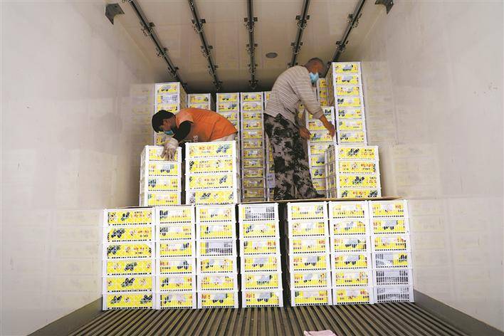 六师gdp_六师新湖监狱照片