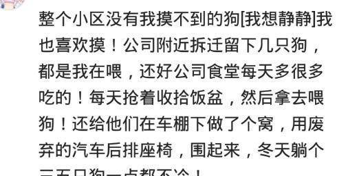 招聘狗_招聘狗公司新闻 公司地址(3)