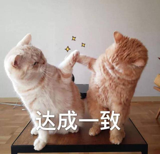 明星|看这里!手把手教你如何拥有明星同款长睫毛?