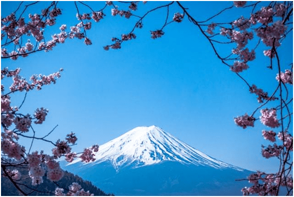 经验教程|【十米留学】未来几年，去哪些国家留学前景更好，性价比更高？