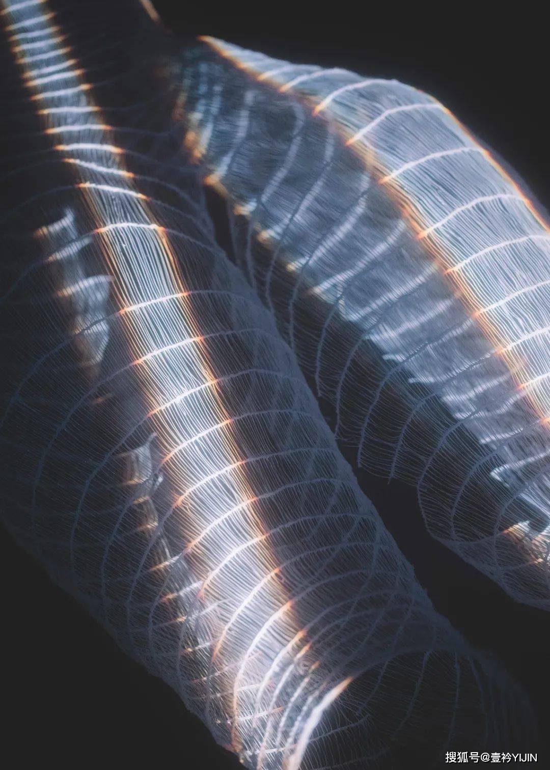 图片|新锐设计师 | 精神护士转行服装，创造出挂能着穿的炫彩服装