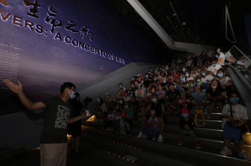 视频|博物馆奇妙夜，真的很帅！