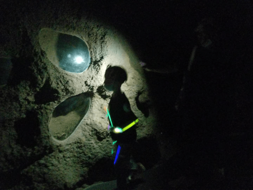 视频|博物馆奇妙夜，真的很帅！