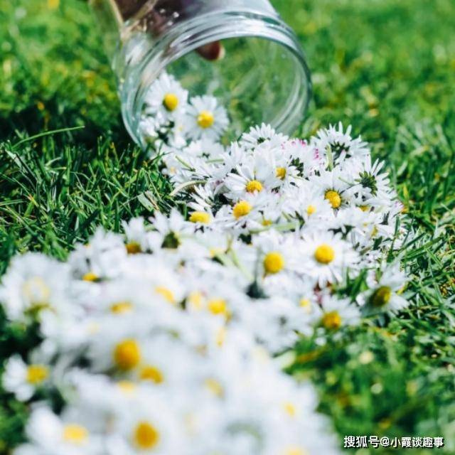 清晨致自己的摘抄短句,唯美青春,励志阳光