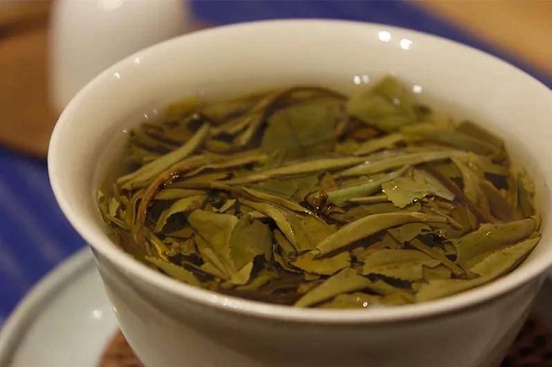 叶片|一点不碎,就是好白茶?福鼎白茶叶片完整度高