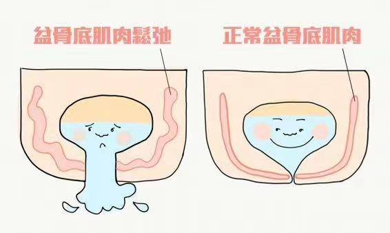 588b291a2eb6402d861e0a9269a3312e.jpeg