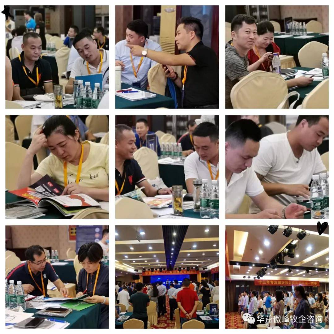 湖南2020gdp第8位_2019湖南各市经济gdp(3)