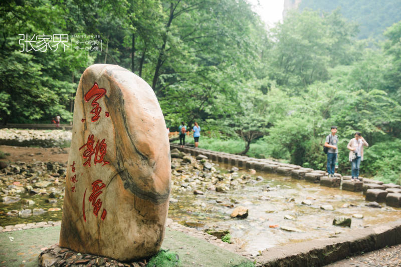 张家界|8月份去张家界玩三四天行程如何安排最合适？张家界秦阿妹