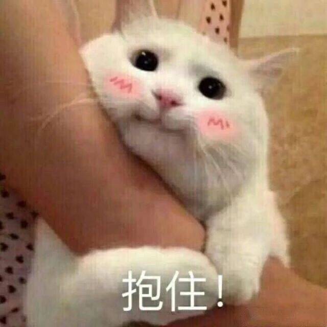 搞笑表情包拿图片:砂锅大的拳头,你见过吗
