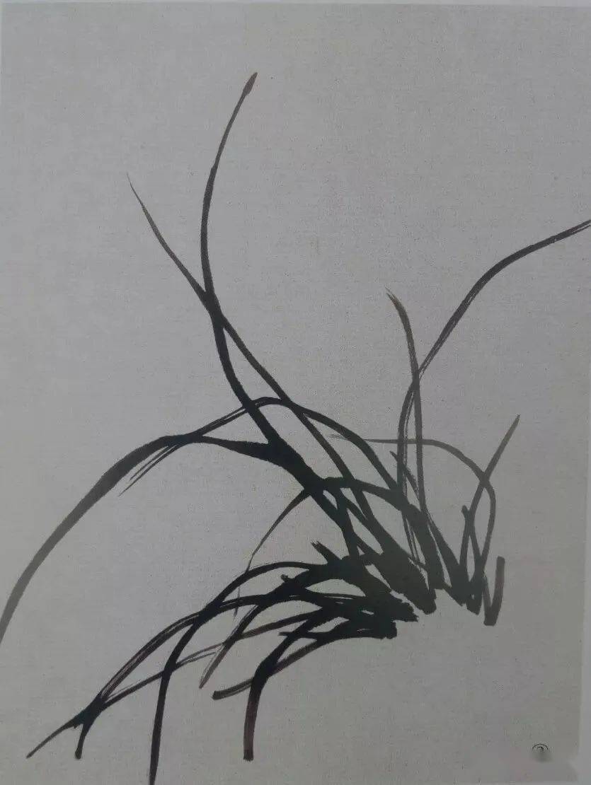 国画教程兰花作品香草美人步骤