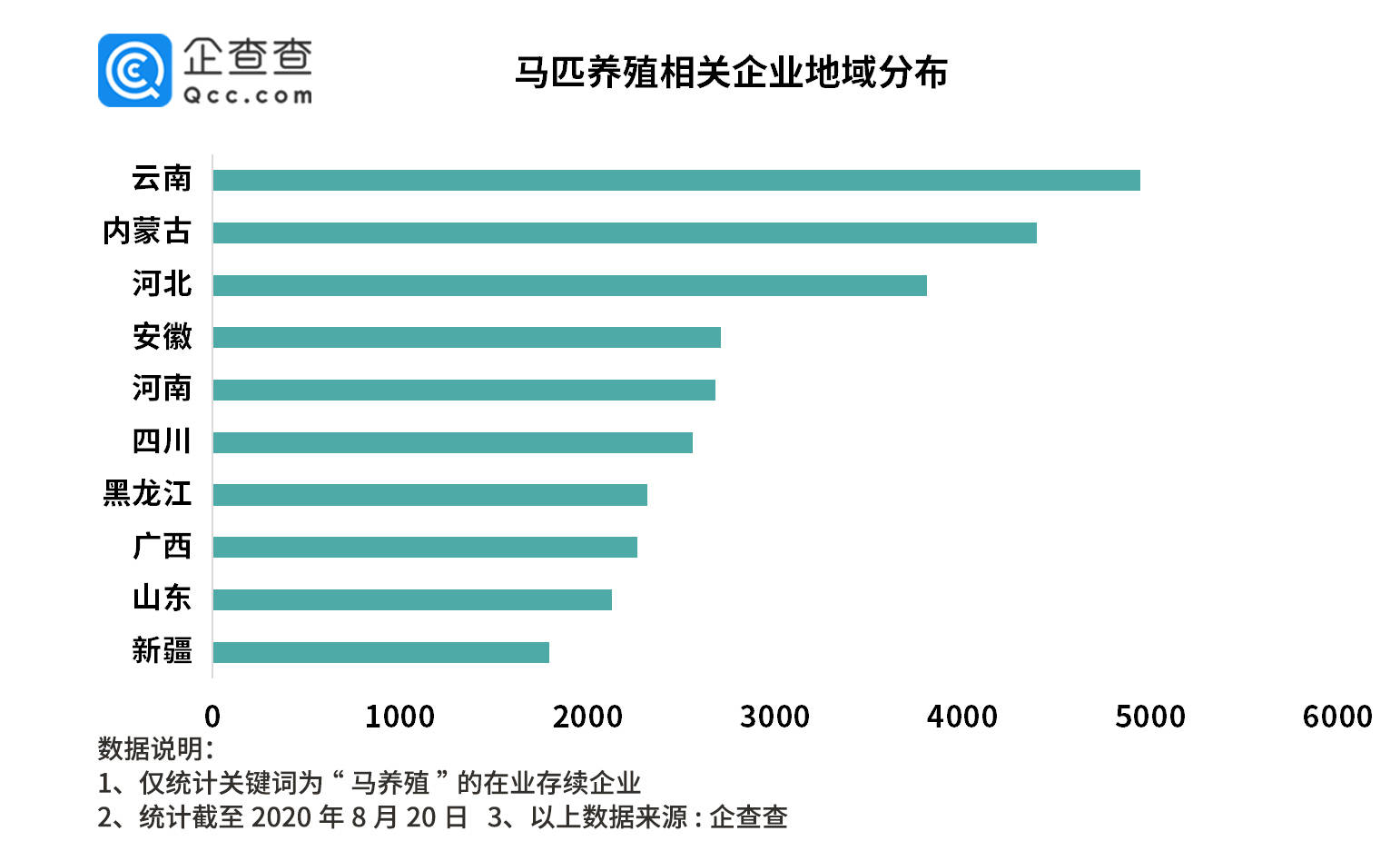 英雄马事迹背后我国马匹养殖云南最多马术培训深圳最多