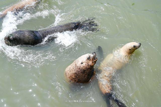 c5ab07e15b254386ad81eae45497880e.jpeg