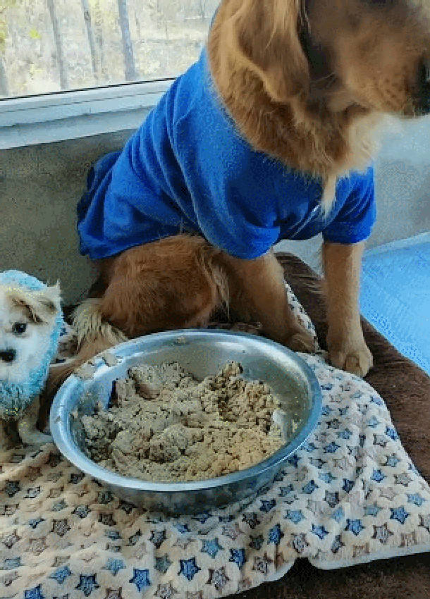 d11997473ab04f4f98890b04ef5ca2b4.jpeg