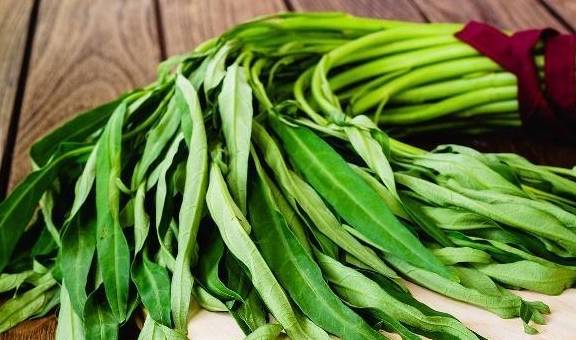 绿豆加一物有奇效不只是清热解毒 04758d31faed4d4e8119af9d1c09cfeb.jpeg