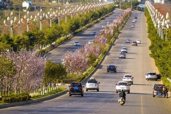 黔西南州2019年GDP情况_黔西南州地图(3)