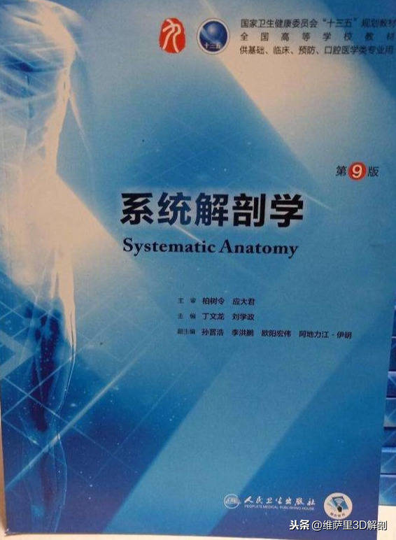 「分享」告诉刚学医的你,怎样学好解剖学?_系统