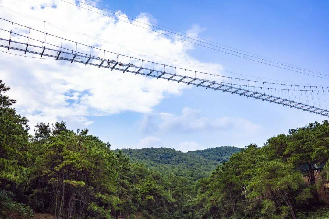 架在凌云山上的飞渡玻璃桥,全长288m,高80m,宽3.