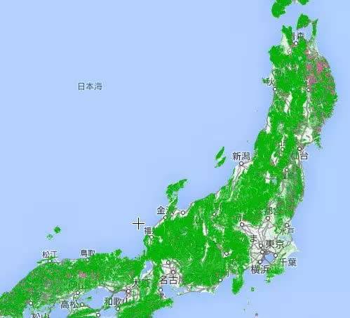 谷歌卫星地图——全球森林监察系统揭示中国雾霾