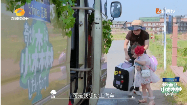 森林|安利一档清新自然的综艺《奇妙小森林》