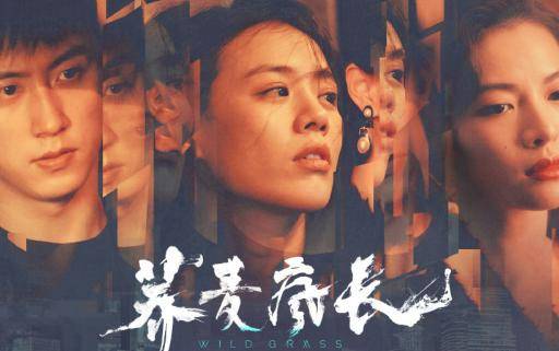 电影|《荞麦疯长》怎么在线观看？钟楚曦和马思纯尺度大！当贝投影仪百寸大屏可看