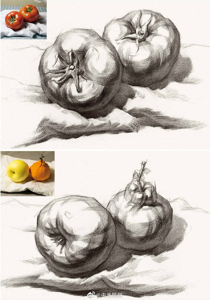 素描静物结构「北京飙地画室」