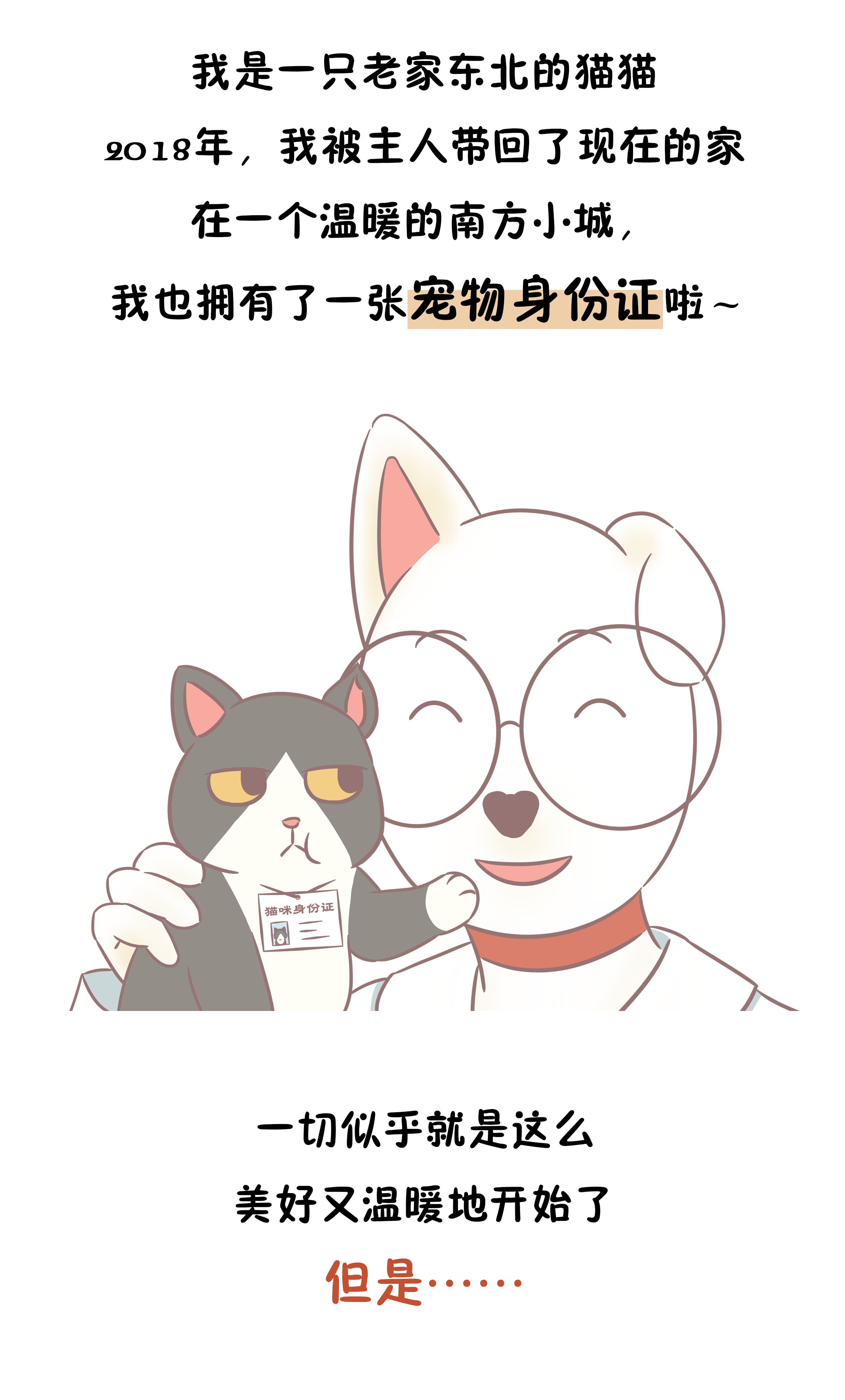 作为东北猫,"我"招谁惹谁了