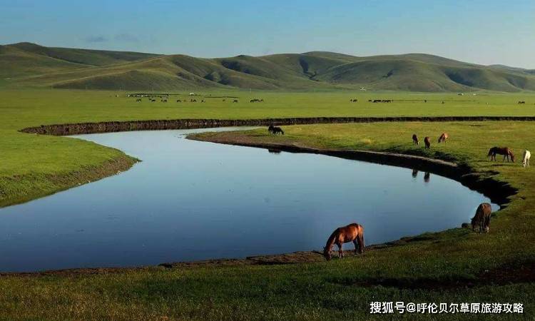 时候|2020八月份，去呼伦贝尔穿什么衣服比较好？