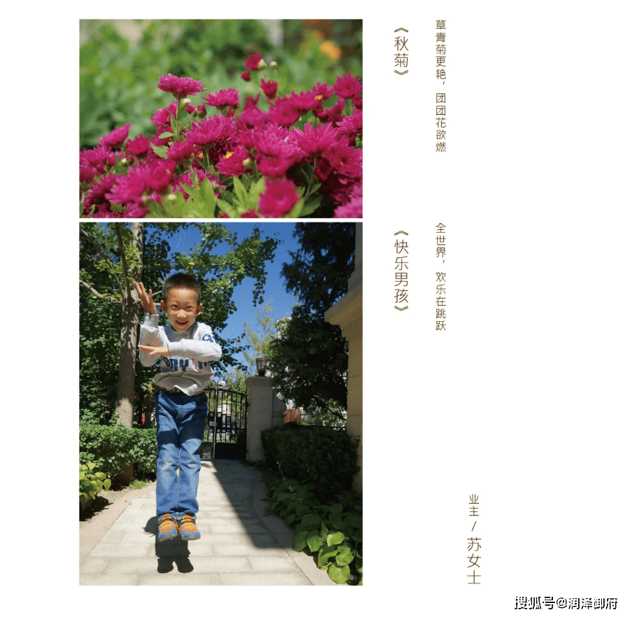 随时都能发现身边的美 d166e57d31904490835dfd73db395686.png