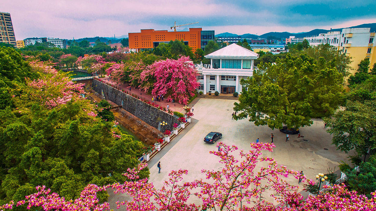 我是独立学院,我为自己代言