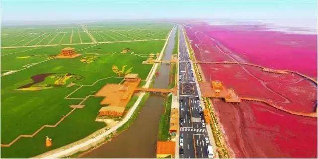 京东控股五星电器,只是缺什么补什么的市场行为-家电圈官网