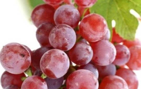 葡萄|补血养颜好处多，但有1大禁忌 ，早知早受益常吃葡萄