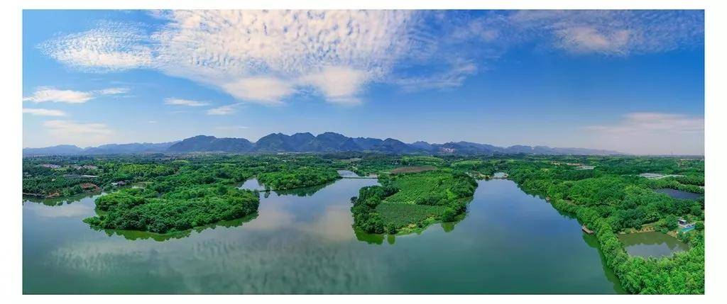 金华市2020第二季度g_短发发型图片女2020