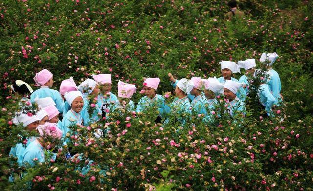 黔南户籍人口_黔南民族职业技术学院
