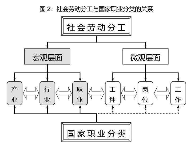 新职业新技能(七)职业分类和职业标准