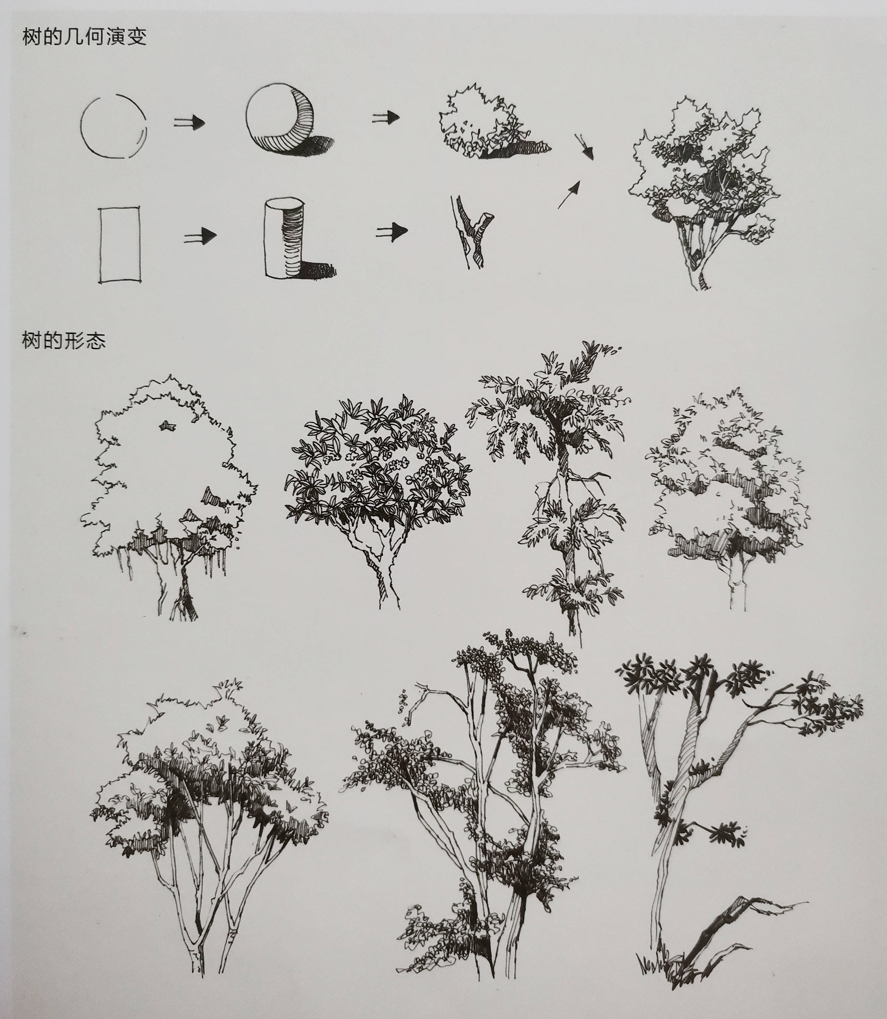 美术联考方向色彩风景单体详细解析(树,船,亭子)