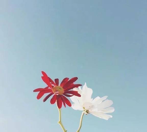 唯美生活赠言,保持谦卑,与世无争,努力前行