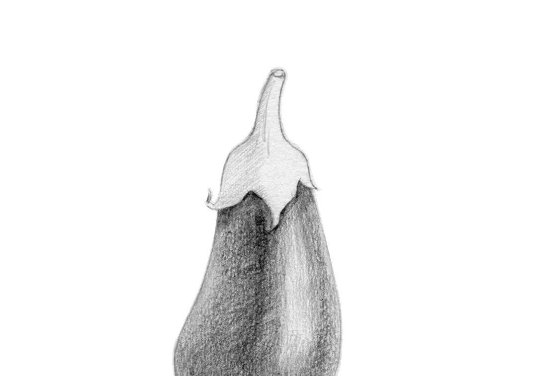 初学者素描画步骤图|如何在家自学铅笔画（附素描Pdf电子书教程下载）_