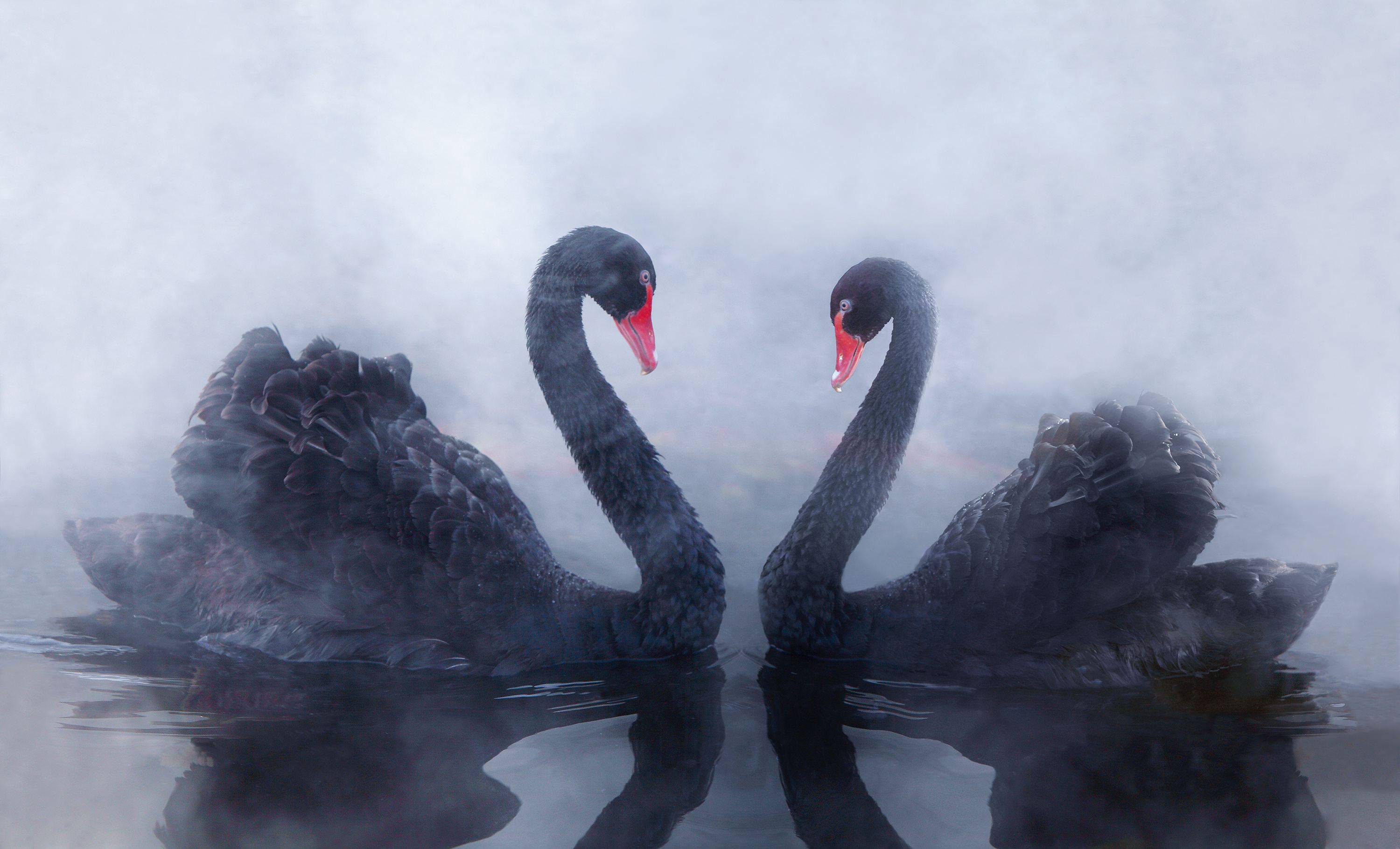 控制|原创宋清辉：应高度重视上市公司内控缺失