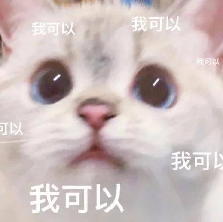 人马|一场粉丝节撬动网红圈大半人马,雪梨到底有什么魅力?